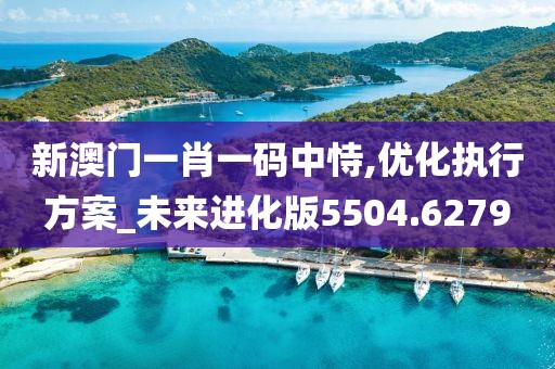 新澳门一肖一码中恃,优化执行方案_未来进化版5504.6279
