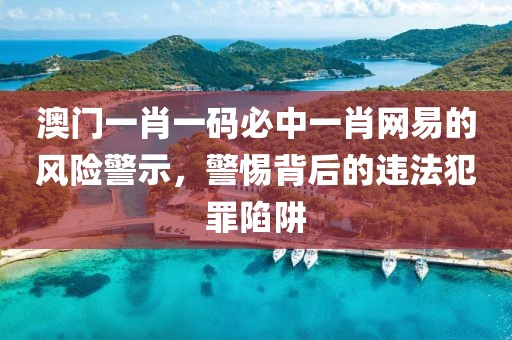 澳门一肖一码必中一肖网易的风险警示，警惕背后的违法犯罪陷阱