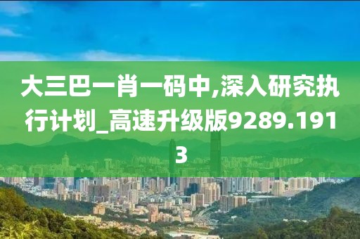 大三巴一肖一码中,深入研究执行计划_高速升级版9289.1913
