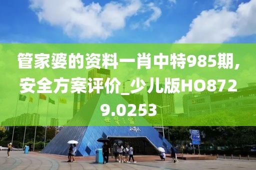 管家婆的资料一肖中特985期,安全方案评价_少儿版HO8729.0253