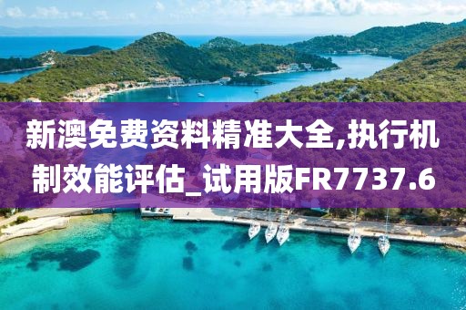 新澳免费资料精准大全,执行机制效能评估_试用版FR7737.6