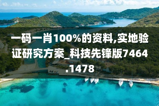 一码一肖100%的资料,实地验证研究方案_科技先锋版7464.1478