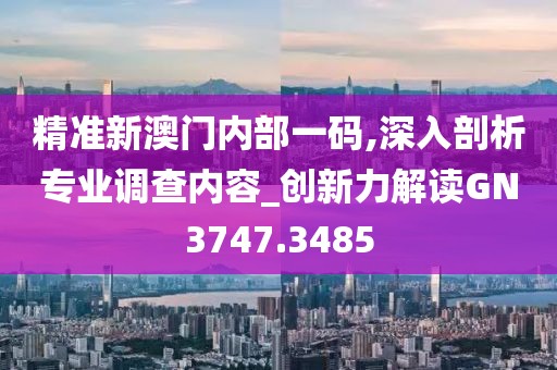 精准新澳门内部一码,深入剖析专业调查内容_创新力解读GN3747.3485