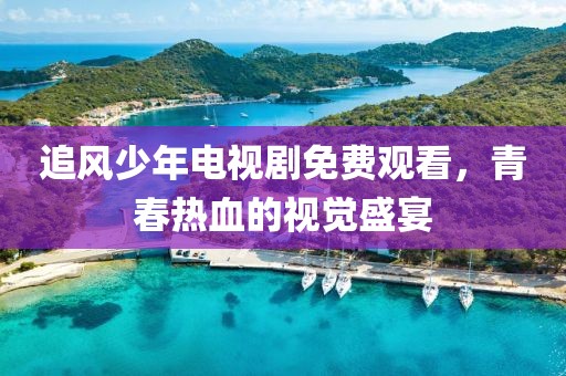 追风少年电视剧免费观看，青春热血的视觉盛宴