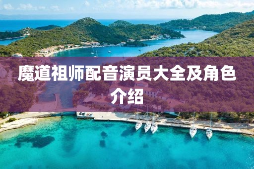 魔道祖师配音演员大全及角色介绍