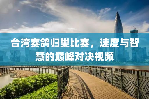 台湾赛鸽归巢比赛，速度与智慧的巅峰对决视频
