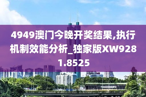 4949澳门今晚开奖结果,执行机制效能分析_独家版XW9281.8525