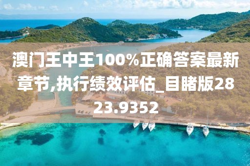 澳门王中王100%正确答案最新章节,执行绩效评估_目睹版2823.9352