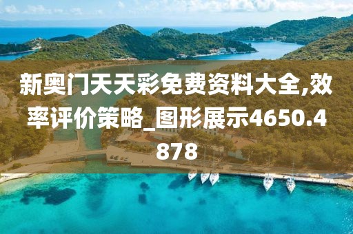 新奥门天天彩免费资料大全,效率评价策略_图形展示4650.4878