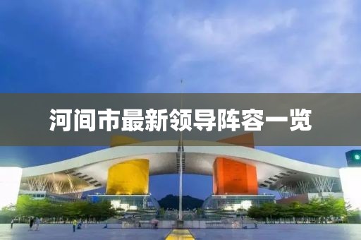 河间市最新领导阵容一览