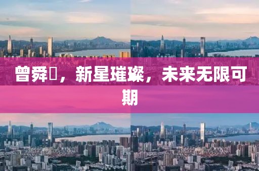 曾舜晞