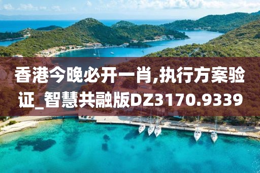 香港今晚必开一肖,执行方案验证_智慧共融版DZ3170.9339