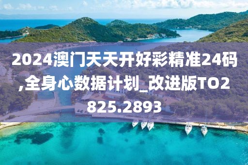 2024澳门天天开好彩精准24码,全身心数据计划_改进版TO2825.2893