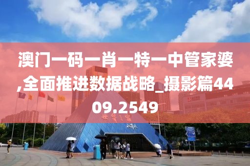 澳门一码一肖一特一中管家婆,全面推进数据战略_摄影篇4409.2549
