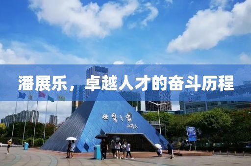 潘展乐，卓越人才的奋斗历程