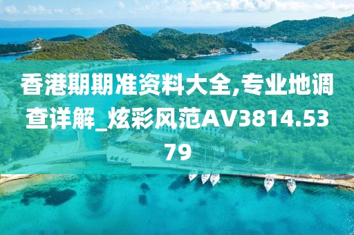香港期期准资料大全,专业地调查详解_炫彩风范AV3814.5379