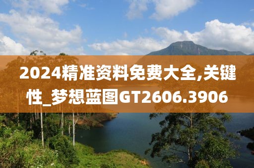 2024精准资料免费大全,关键性_梦想蓝图GT2606.3906
