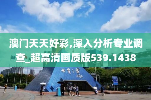 澳门天天好彩,深入分析专业调查_超高清画质版539.1438