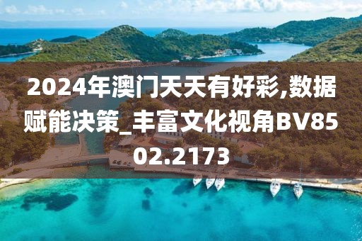 2024年澳门天天有好彩,数据赋能决策_丰富文化视角BV8502.2173