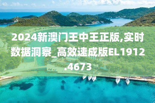 2024新澳门王中王正版,实时数据洞察_高效速成版EL1912.4673