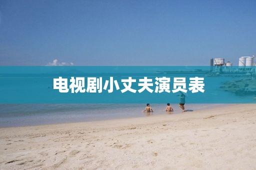 电视剧小丈夫演员表