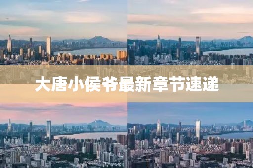 大唐小侯爷最新章节速递
