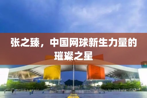 张之臻，中国网球新生力量的璀璨之星