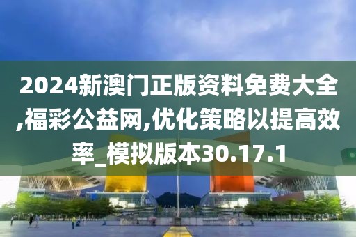 2024新澳门正版资料免费大全,福彩公益网,优化策略以提高效率_模拟版本30.17.1