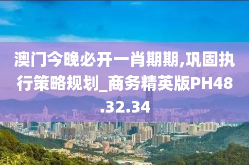 澳门今晚必开一肖期期,巩固执行策略规划_商务精英版PH48.32.34