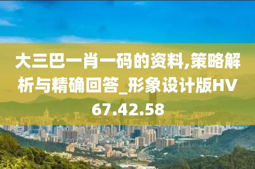 大三巴一肖一码的资料,策略解析与精确回答_形象设计版HV67.42.58