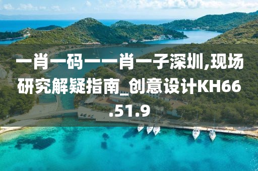 一肖一码一一肖一子深圳,现场研究解疑指南_创意设计KH66.51.9