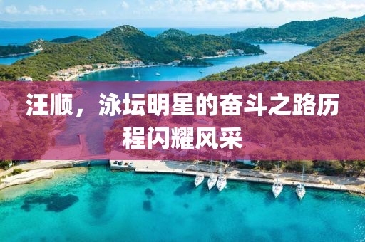 汪顺，泳坛明星的奋斗之路历程闪耀风采