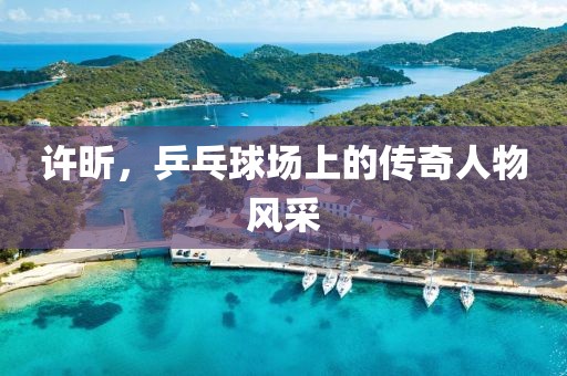 许昕，乒乓球场上的传奇人物风采