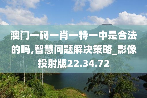 澳门一码一肖一特一中是合法的吗,智慧问题解决策略_影像投射版22.34.72