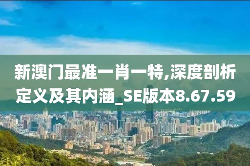 新澳门最准一肖一特,深度剖析定义及其内涵_SE版本8.67.59