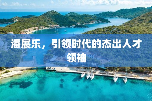潘展乐，引领时代的杰出人才领袖