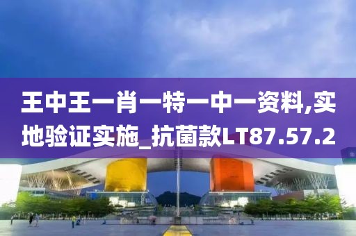 王中王一肖一特一中一资料,实地验证实施_抗菌款LT87.57.20