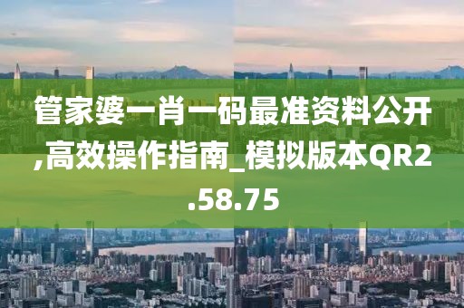 管家婆一肖一码最准资料公开,高效操作指南_模拟版本QR2.58.75