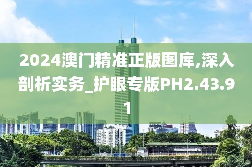 2024澳门精准正版图库,深入剖析实务_护眼专版PH2.43.91