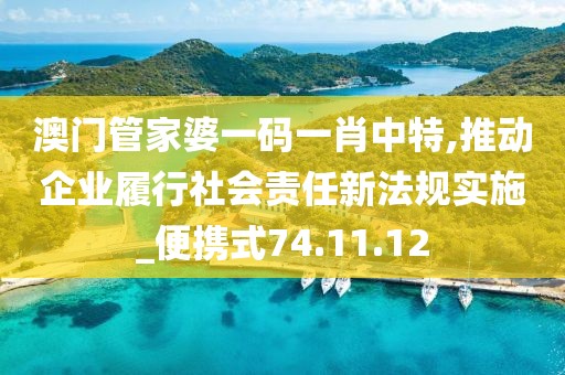 澳门管家婆一码一肖中特,推动企业履行社会责任新法规实施_便携式74.11.12