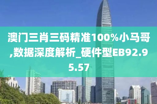 澳门三肖三码精准100%小马哥,数据深度解析_硬件型EB92.95.57