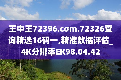 王中王72396.cσm.72326查询精选16码一,精准数据评估_4K分辨率EK98.04.42