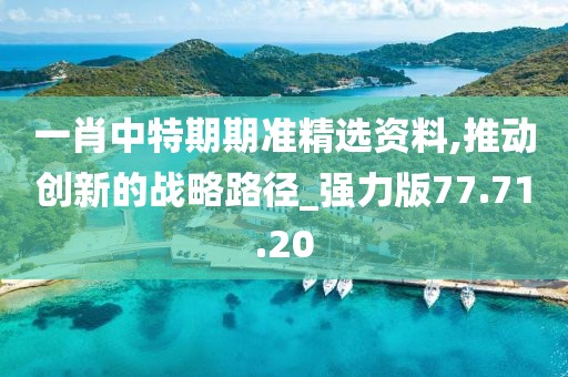 一肖中特期期准精选资料,推动创新的战略路径_强力版77.71.20