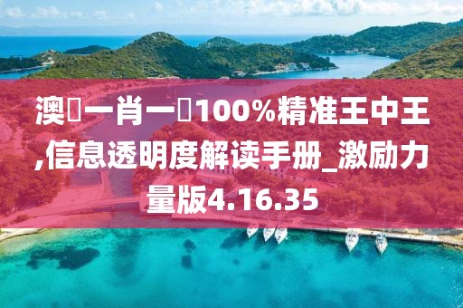 澳門一肖一碼100%精准王中王,信息透明度解读手册_激励力量版4.16.35