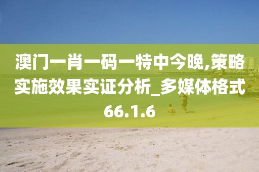 澳门一肖一码一特中今晚,策略实施效果实证分析_多媒体格式66.1.6