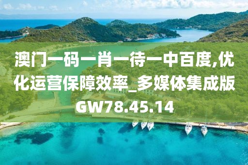 澳门一码一肖一待一中百度,优化运营保障效率_多媒体集成版GW78.45.14