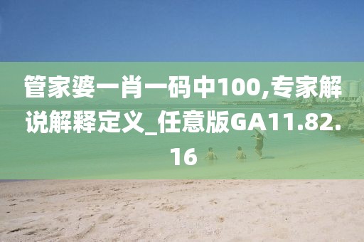 管家婆一肖一码中100,专家解说解释定义_任意版GA11.82.16