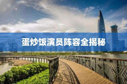 蛋炒饭演员阵容全揭秘