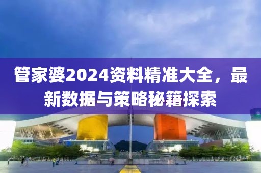 管家婆2024资料精准大全，最新数据与策略秘籍探索