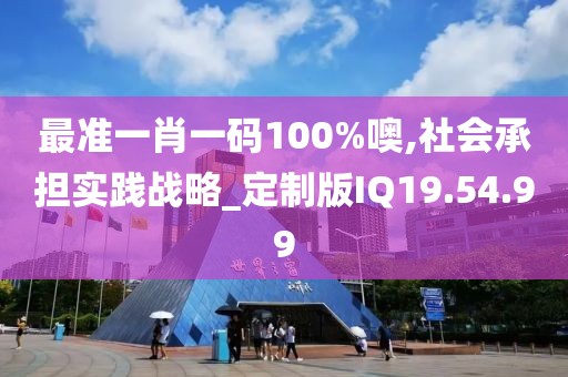 最准一肖一码100%噢,社会承担实践战略_定制版IQ19.54.99